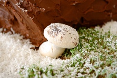 Mushroom and Chia Grass